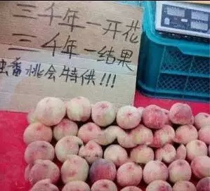 在互聯網上賣生鮮,學習京東如何給產品寫文案