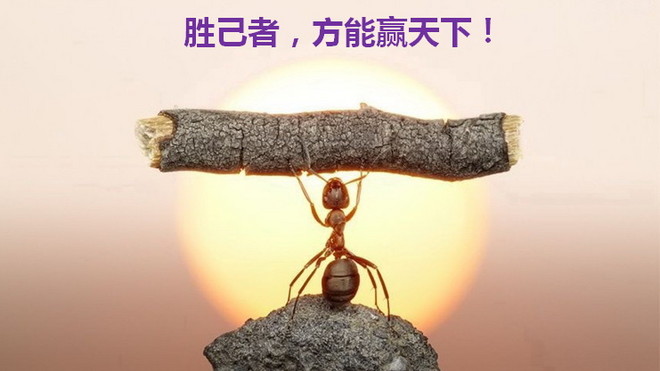 1452416015282259.jpg QQ图片20160110164904.jpg