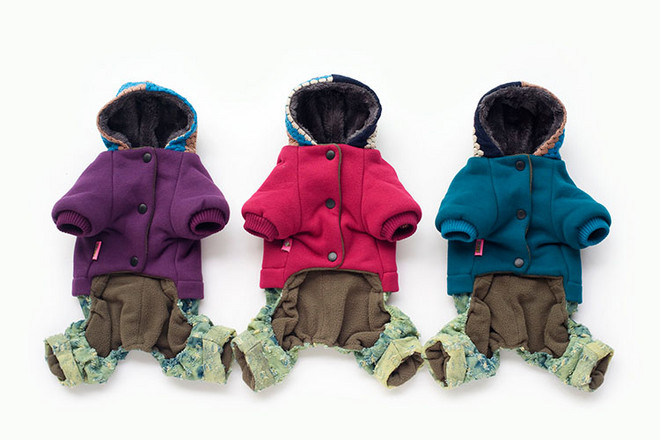 南宁服装设计的基础学习_南宁宠物狗狗服装课程