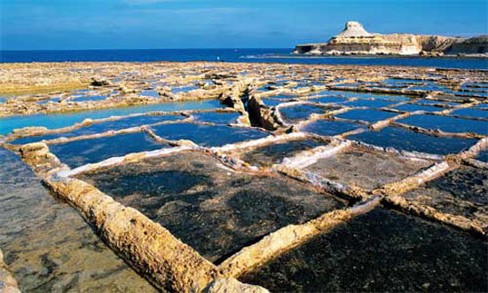 123009BC-8.jpg