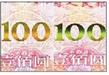 48891446456023.jpg