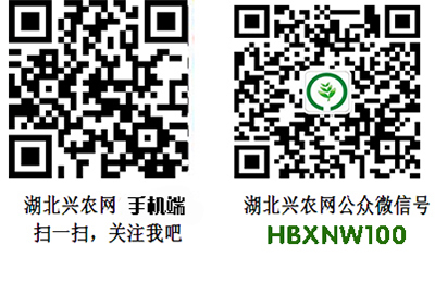 湖北兴农网+.jpg