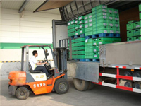 20110425102412356.jpg