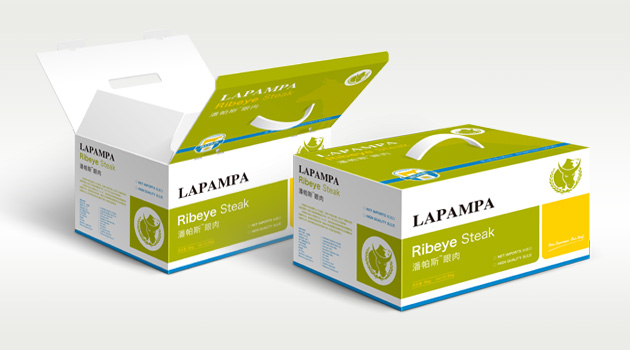 众诺包装手提把双上盖彩箱08