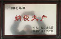 2007˰